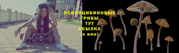 дурь Абинск