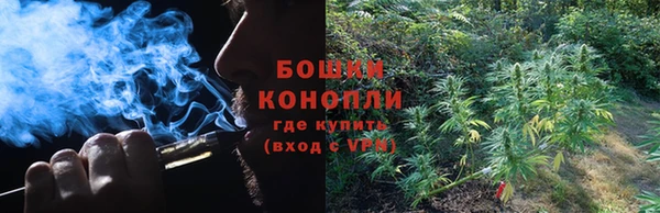 дживик Протвино