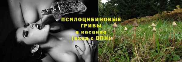 дживик Протвино